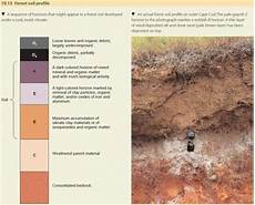 Soil Profile Accessories