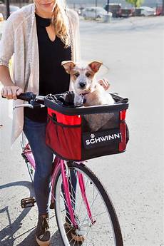 Bicycle Accessories