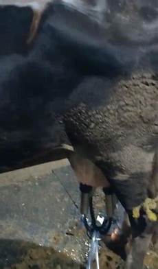Milking Machine Accessories