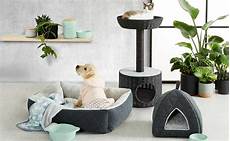 Pet Accessories