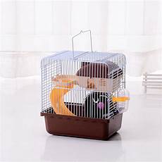 Pet Accessories